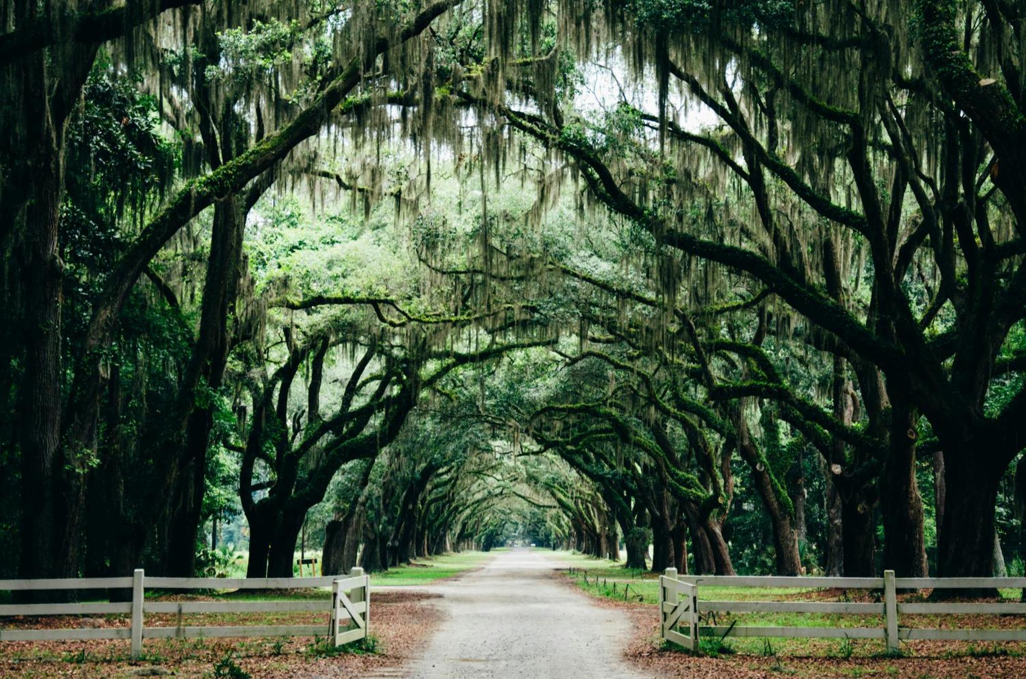 Kimpton Brice Hotel By Ihg Savannah Esterno foto
